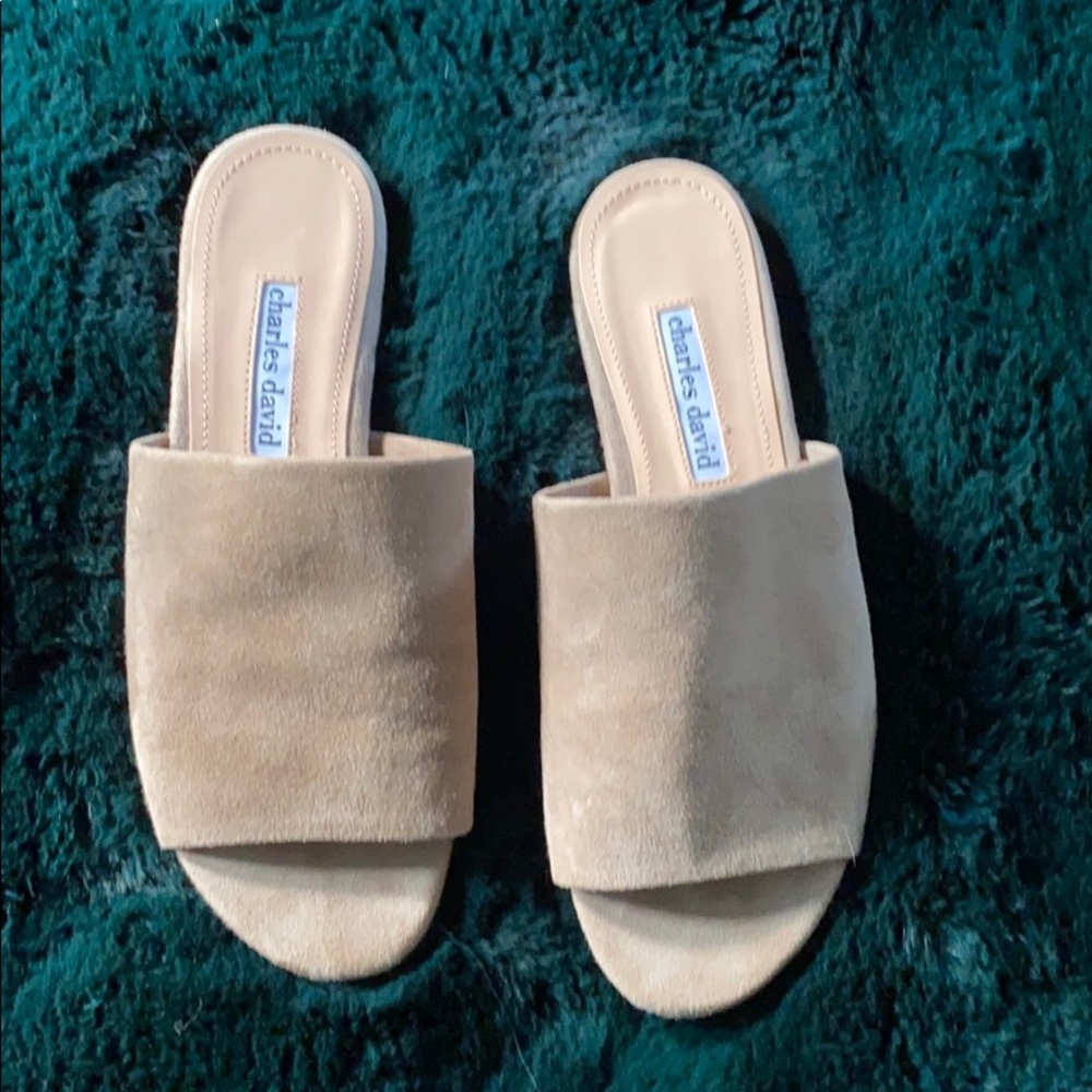 Charles David Suede Slides